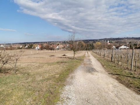 Eladó Telek 8617 Kőröshegy Köröshegyen borospincével közművel ipari árammal