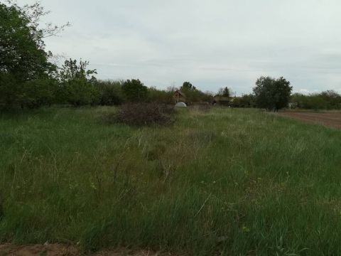 Eladó Telek 7011 Alap , Falu szélén