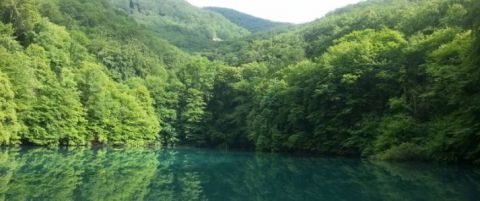 Eladó Mezőgazdasági 3394 Egerszalók 