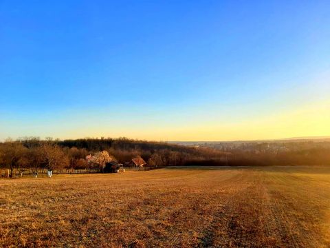 Eladó Telek 8086 Felcsút , Felcsút, Petőfi utca végén panorámás telek