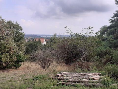 Eladó Telek 8095 Pákozd 