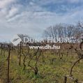 Eladó Ház, Komárom-Esztergom megye, Tata