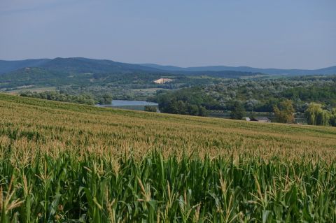 Eladó Telek 2097 Pilisborosjenő Pilisborosjenő 1890 m2 telek eladó