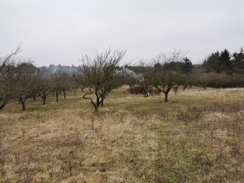 Eladó Telek 9700 Szombathely , Erdei iskola u.