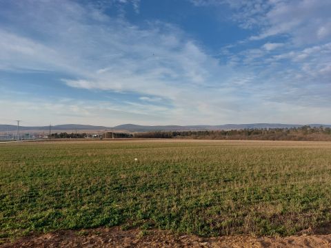 Eladó Telek 8200 Veszprém Külső-Kádártai út