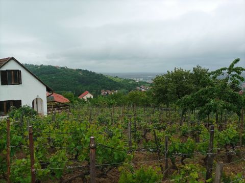 Eladó Telek 7634 Pécs , ---ÖSSZKÖZMŰVES, PANORÁMÁS ÉPÍTÉSI TELEK ÜRÖGBEN a SÁSKA DŰLŐBEN---