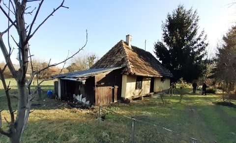Eladó Ház 8756 Csapi Csapi fölött, a Győr-hegyen présház, gyümölcsfás kis birtokkal eladó.