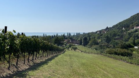 Eladó Ház 8264 Szigliget , Balatoni panorámás