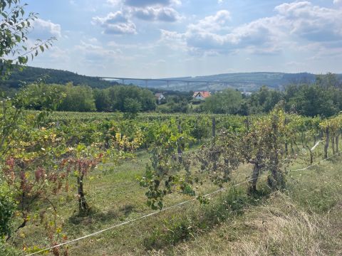 Eladó Telek 8617 Kőröshegy Toscan hangulatú panorámával a Kőröshegyről!