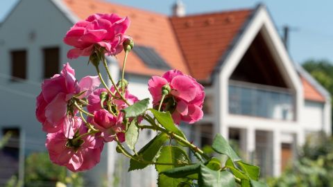 Eladó Vendéglátás 8229 Paloznak , Balatoni panorámás, gyönyörű vendégház