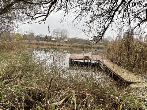 Eladó Telek 6064 Tiszaug , Horgásztelek stéggel a Holt-Tiszán