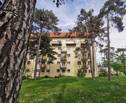Eladó Lakás 8200 Veszprém , Parkos környezetben, tégla építés, belső 2 szint