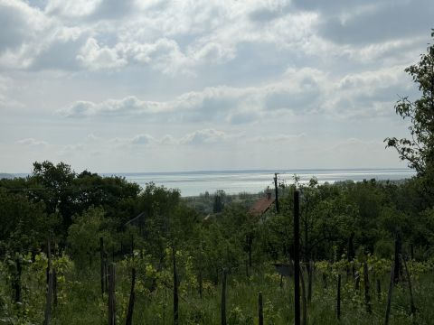 Eladó Telek 8220 Balatonalmádi Balatonalmádi 