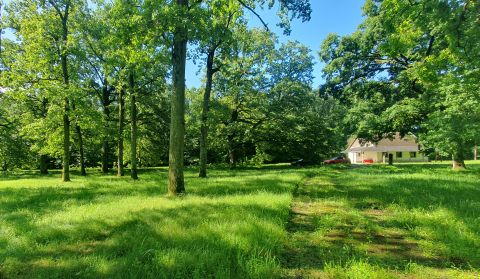 Eladó Ház 8800 Nagykanizsa , Eladó 7,7 hektáros ősfás park - fejlesztési terület /felújítandó házzal