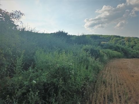 Eladó Telek 2524 Nagysáp 