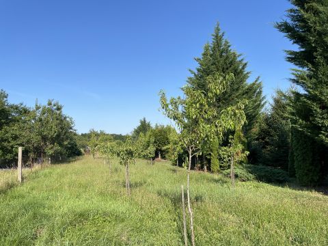 Eladó Telek 9915 Nádasd 