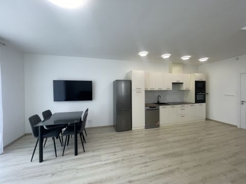 Kiadó Ház 4031 Debrecen , Hatvan utcai kert