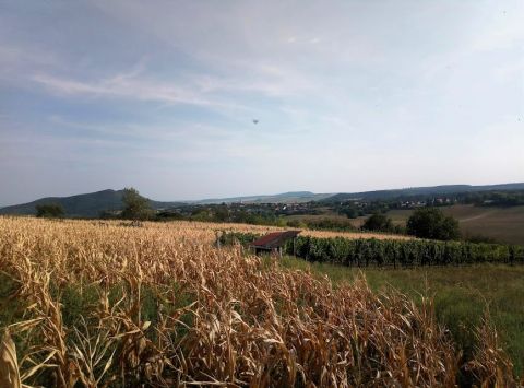 Eladó Telek 2525 Bajna Páskomdülő