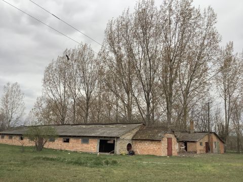 Kiadó Mezőgazdasági 6430 Bácsalmás , külterület