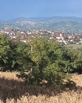 Eladó Telek 8394 Alsópáhok 