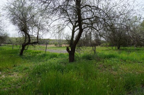 Eladó Telek 2483 Gárdony 