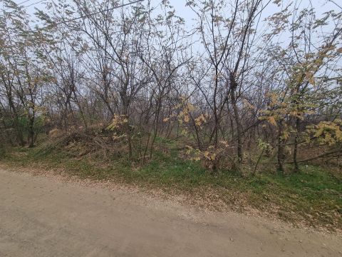 Eladó Telek 2241 Sülysáp , Besnyői dűlő 