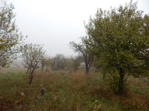 Eladó Telek 6000 Kecskemét Külterületi telek