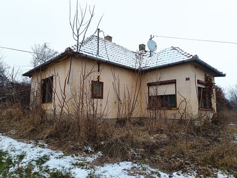 Eladó Mezőgazdasági 7213 Szakcs 