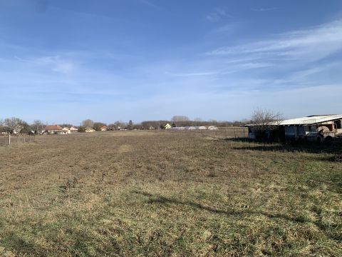 Eladó Telek 2376 Hernád Buszmegforduló közelében