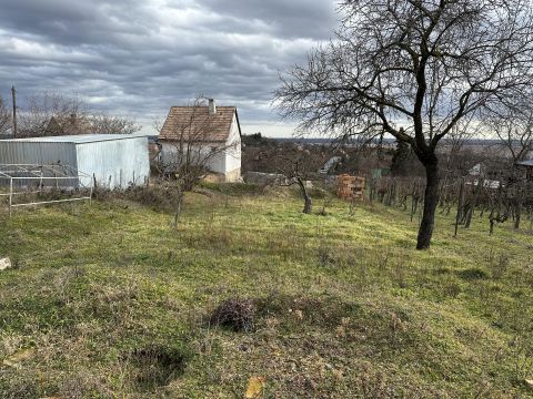 Eladó Ház 8095 Pákozd 