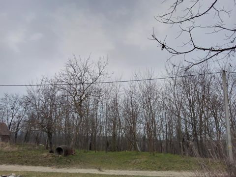 Eladó Telek 8782 Zalacsány 