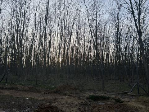 Eladó Mezőgazdasági 2100 Gödöllő Szárítópusztán  45 m2 es hétvégi ház 