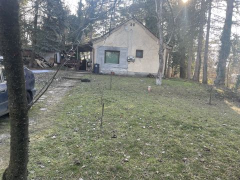 Eladó Ház 2017 Pócsmegyer , Pázsit -tó közelében természetközeli ház.