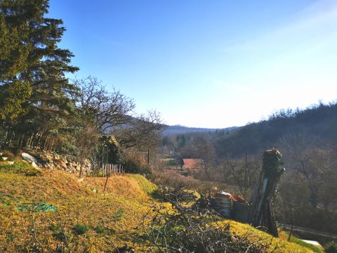 Eladó Ház 2500 Esztergom Tesco közelében