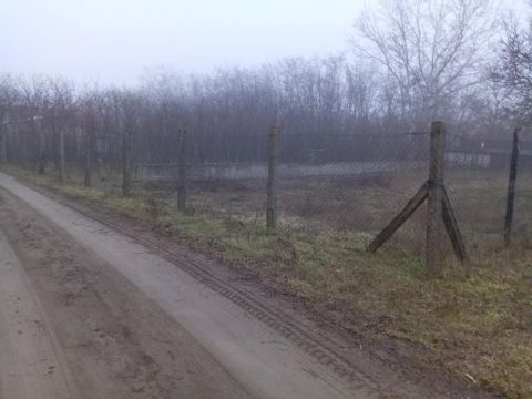 Eladó Telek 6000 Kecskemét , Eladó hobbi kert Ksfáiban