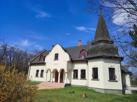 Eladó Ház 6000 Kecskemét , Fülöpháza mellett, gyönyörű kúria