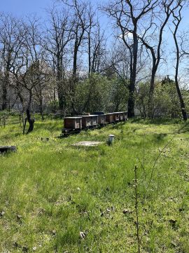 Eladó Telek 8086 Felcsút , Felcsút Arany János utca