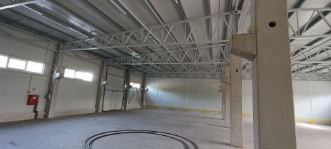 Kiadó Tároló/Raktár 2131 Göd , Raktárcsarnok Logisztikai központ kiadó