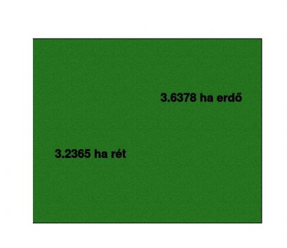 Eladó Mezőgazdasági 2750 Nagykőrös Nagykőrösön  4 ha akácerdő,4400 nm-es legelő, tanyával
