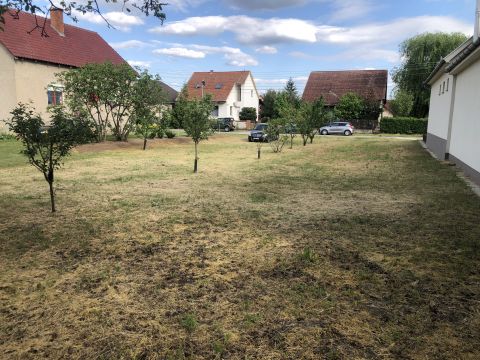 Eladó Telek 6066 Tiszaalpár , TISZAALPÁR CSENDES ,ASZFALTOZOTT UTCÁJÁBAN TELEK ELADÓ
