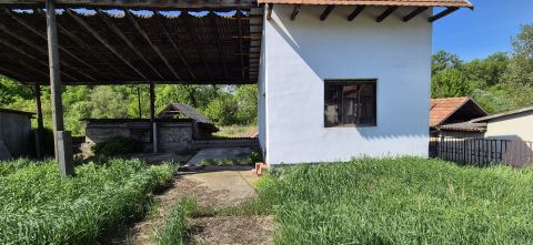 Eladó Ház 4066 Tiszacsege 