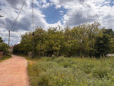 Eladó Telek 5462 Cibakháza , 5462 Cibakháza, Közel a Holt-Tisza parthoz