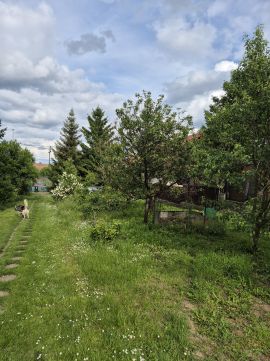 Eladó Telek 2011 Budakalász 