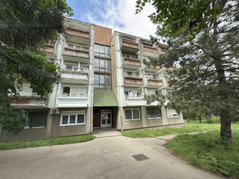 Eladó Lakás 2800 Tatabánya 
