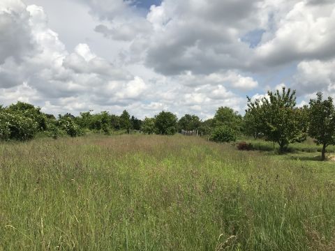 Eladó Telek 8000 Székesfehérvár , kertvárosias környezetben