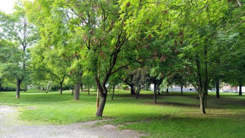 Eladó Parkoló 2600 Vác Arany János utcai garázs sor