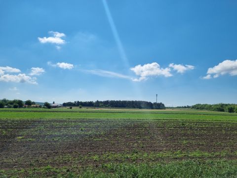 Eladó Telek 8092 Pátka Vargahegyen