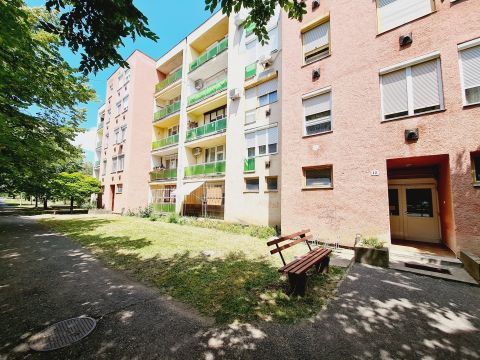 Eladó Lakás 5600 Békéscsaba 