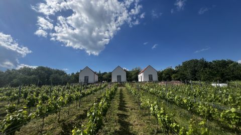 Eladó Ház 8229 Paloznak , Paloznak