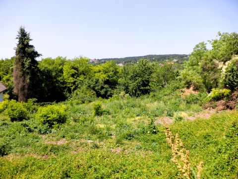 Eladó Telek 8096 Sukoró , Sukoró